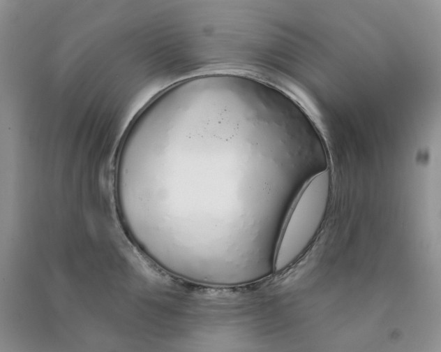 X0000091310907200709071111