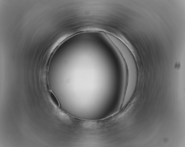 X0000091310909200709071111