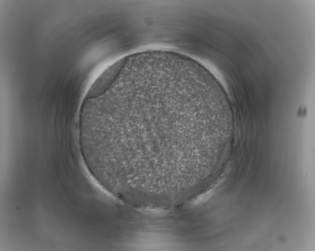 X0000091310911200709071111