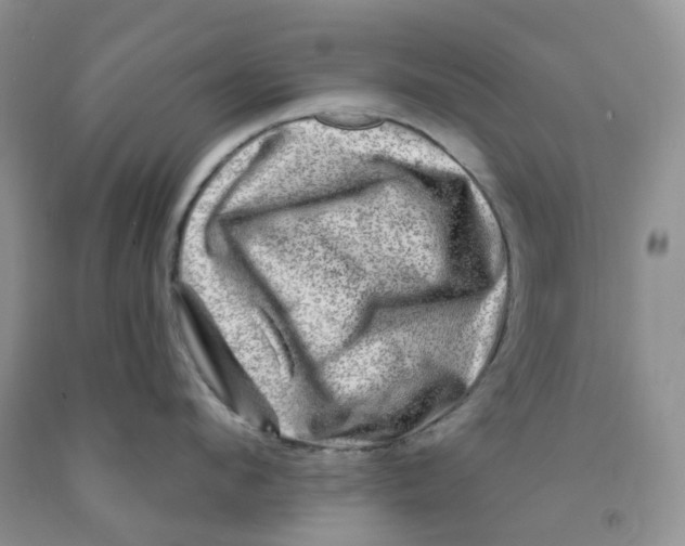 X0000091310912200709071111