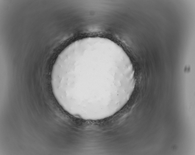 X0000091310913200709071111