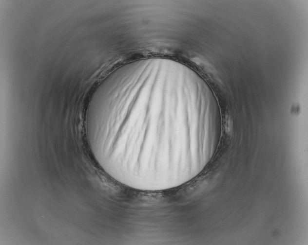 X0000091310915200709071111