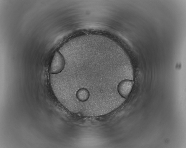 X0000091310918200709071111