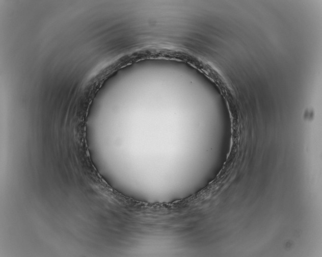 X0000091310919200709071111