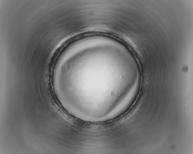 X0000091310923200709071111