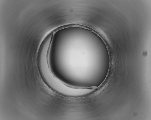 X0000091310924200709071111