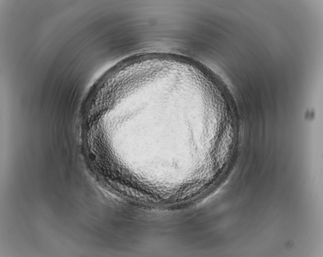 X0000091310925200709071111