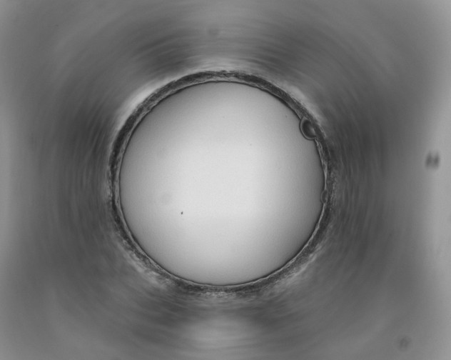 X0000091310927200709071111