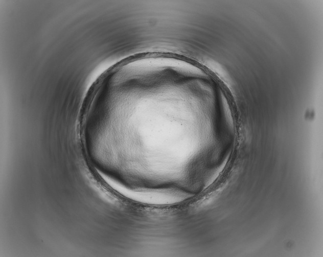 X0000091310928200709071111