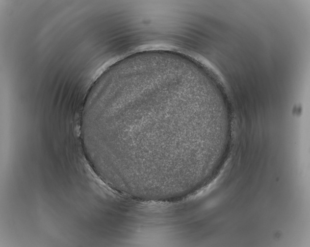 X0000091310929200709071111