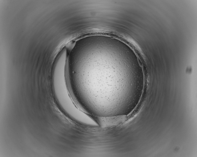 X0000091310930200709071111