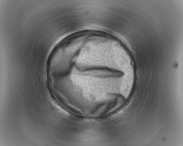 X0000091310931200709071111