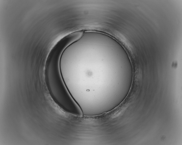 X0000091310932200709071111