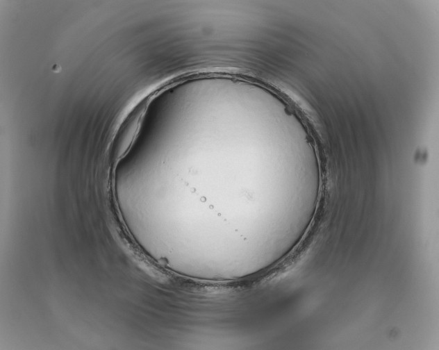 X0000091310933200709071111