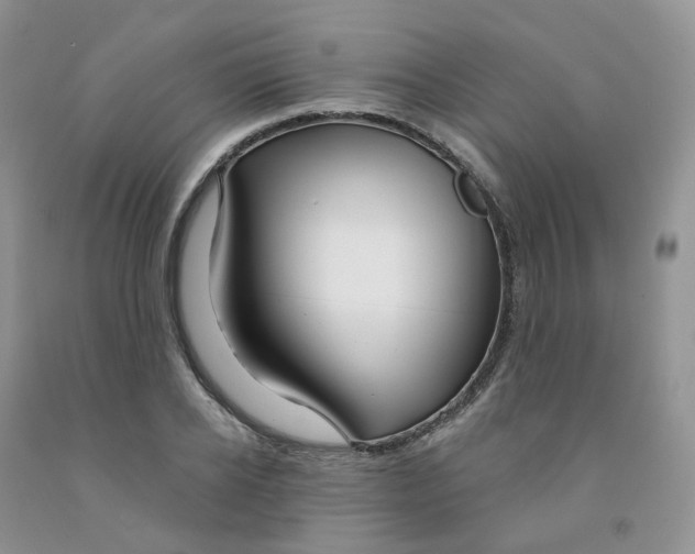 X0000091310934200709071111