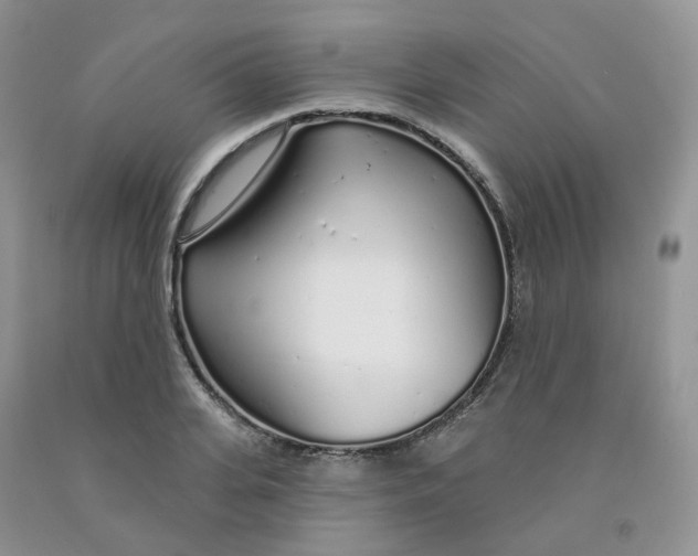 X0000091310935200709071111