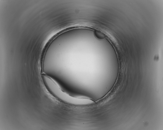 X0000091310936200709071111