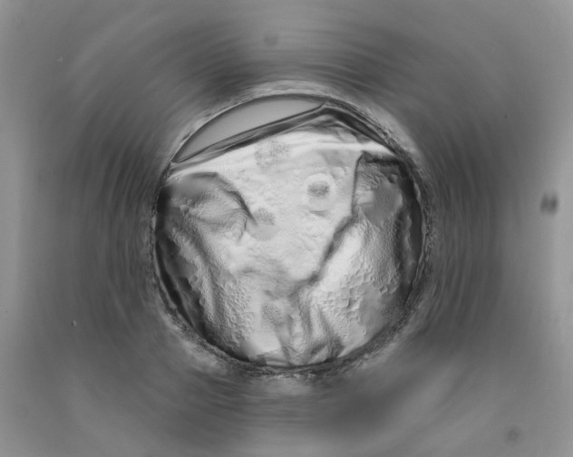 X0000091310937200709071111