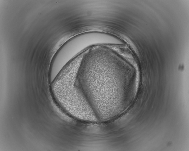 X0000091310938200709071111