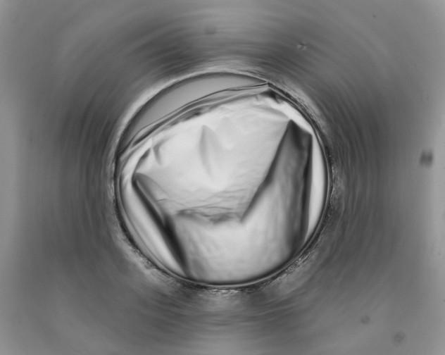 X0000091310939200709071111