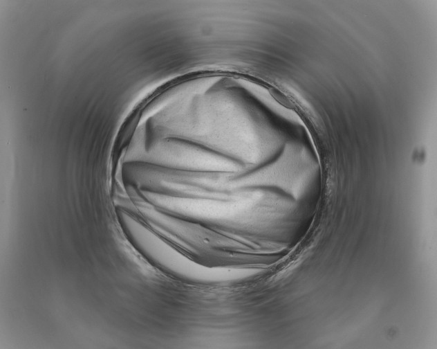 X0000091310940200709071111