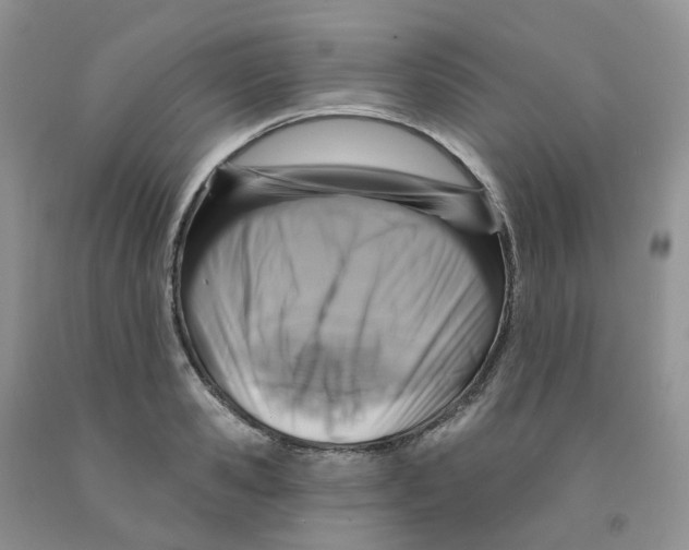 X0000091310941200709071111