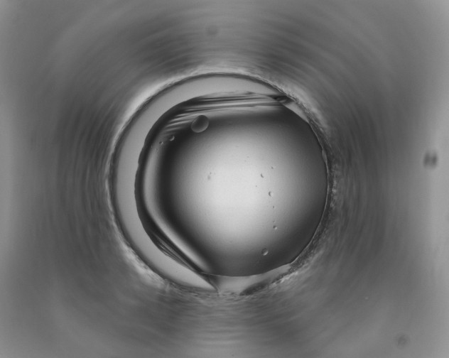 X0000091310942200709071111