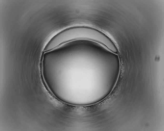 X0000091310943200709071111
