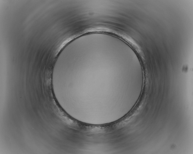 X0000091310945200709071111