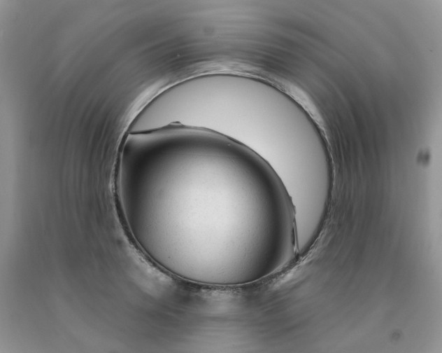 X0000091310946200709071111