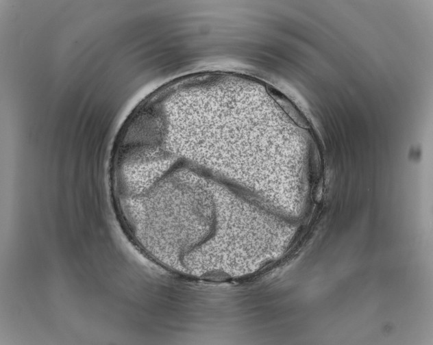 X0000091310947200709071111