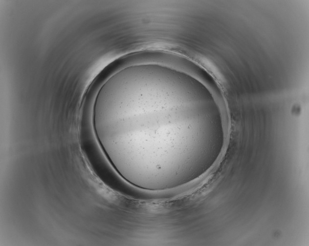 X0000091310948200709071111