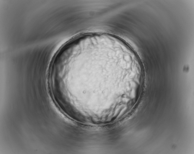 X0000091310949200709071111