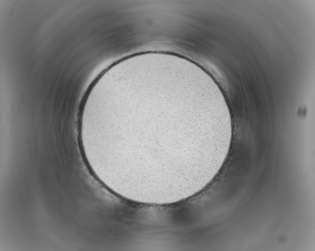 X0000091310950200709071111