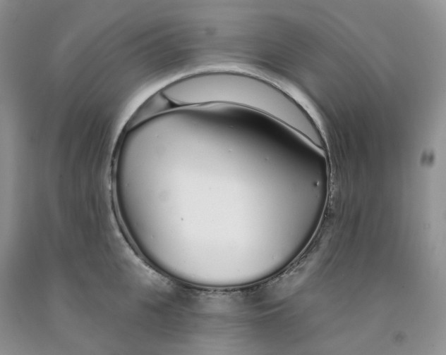 X0000091310951200709071111