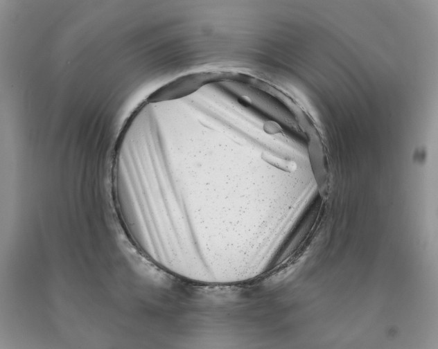 X0000091310952200709071111