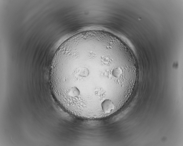 X0000091310953200709071111