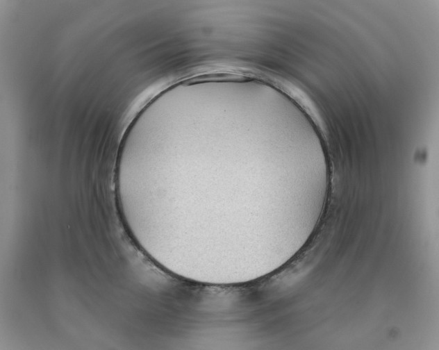 X0000091310954200709071111