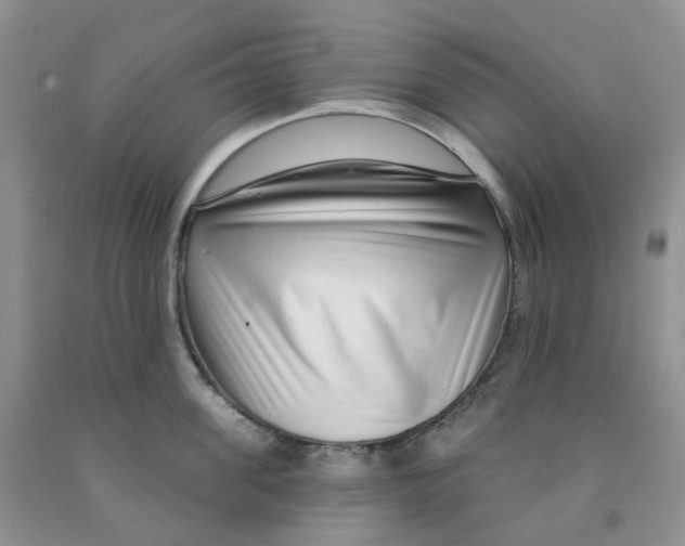 X0000091310955200709071111