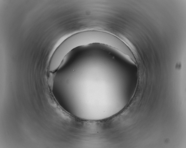 X0000091310956200709071111