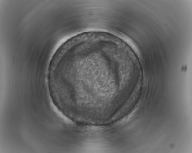 X0000091310958200709071111