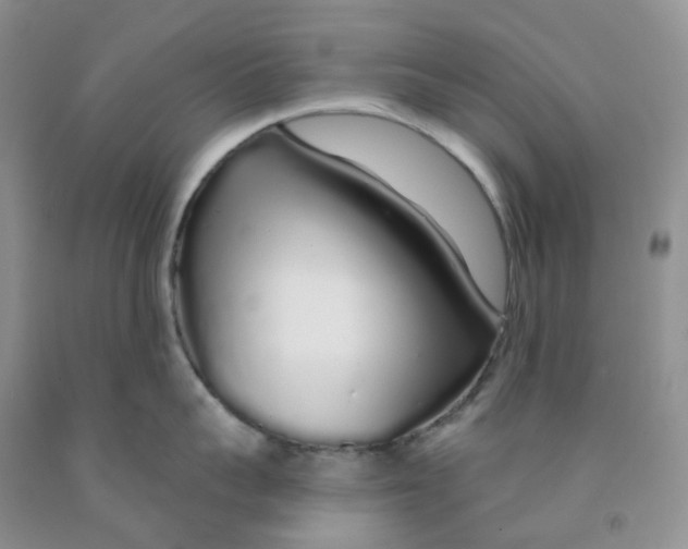 X0000091310959200709071111