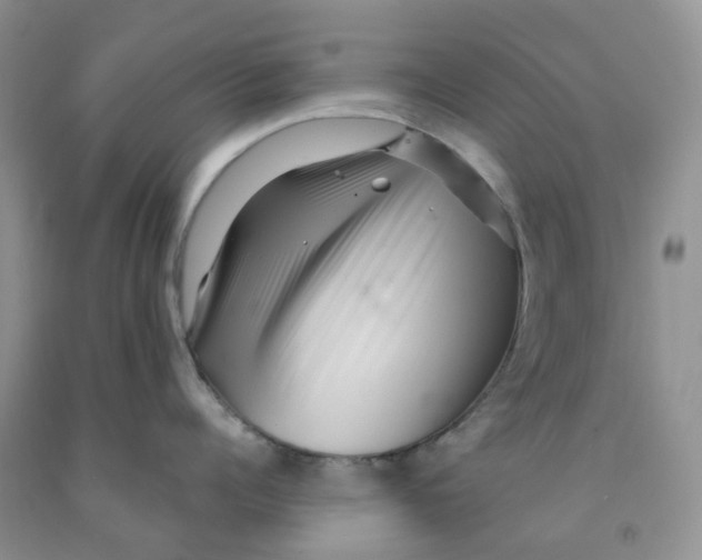 X0000091310960200709071111