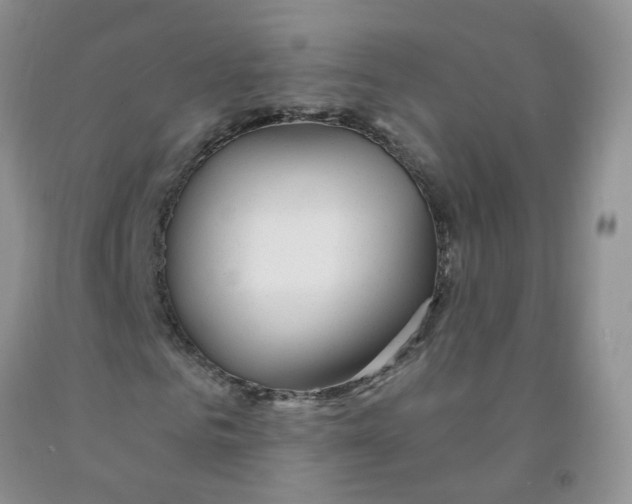 X0000091310961200709071111