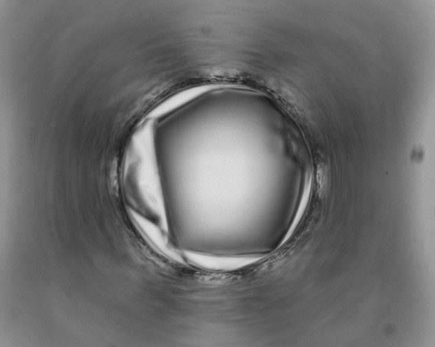 X0000091310963200709071111