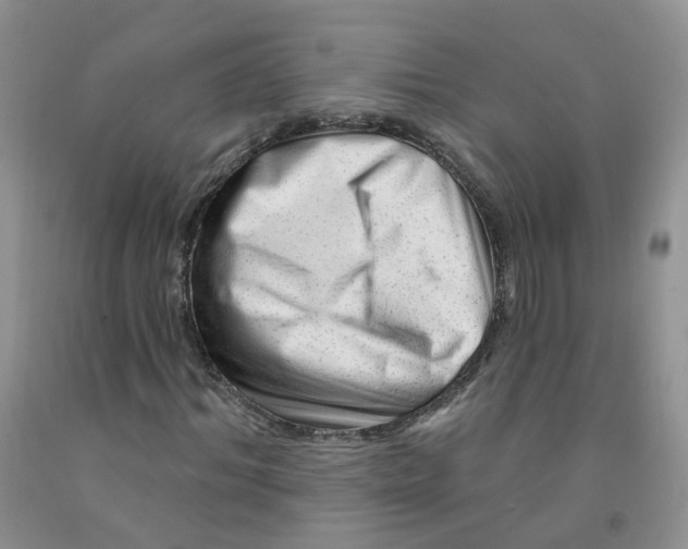 X0000091310964200709071111