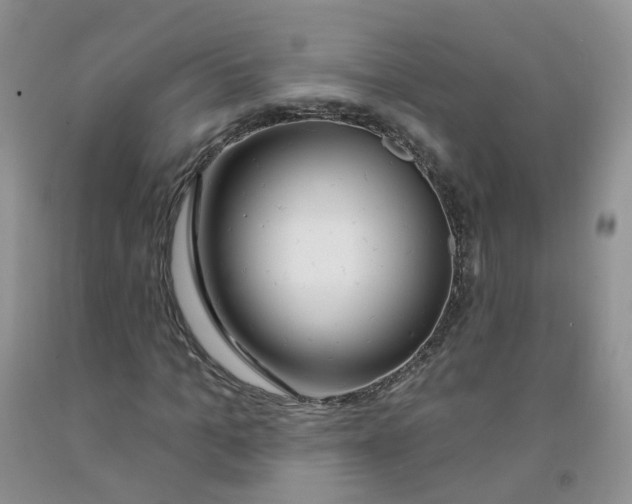 X0000091310965200709071110