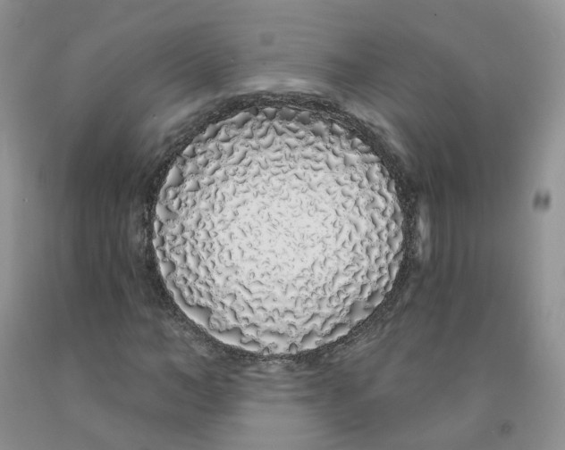 X0000091310966200709071110