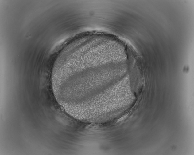 X0000091310967200709071110