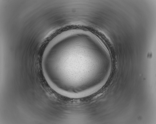 X0000091310968200709071110